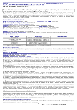 CAYLLON INVERSIONES MOBILIARIAS, SICAV, SA