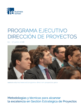 IE Programa Ejecutivo Dirección de Proyectos