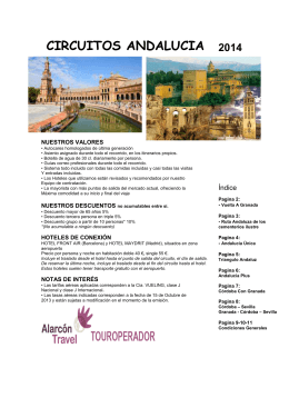 Cartel Oferta - Alarcon Travel