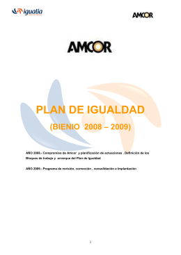 plan de igualdad - Sección Sindical Estatal UGT Amcor