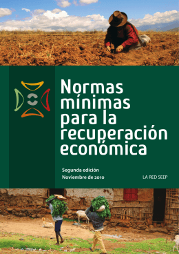 Normas mínimas para la recuperación económica