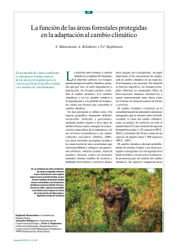La función de las áreas forestales protegidas en la adaptación al