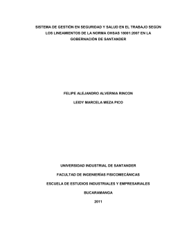 sistema de gestión en seguridad y salud en el trabajo según
