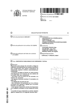 ES 2 393 491 A1