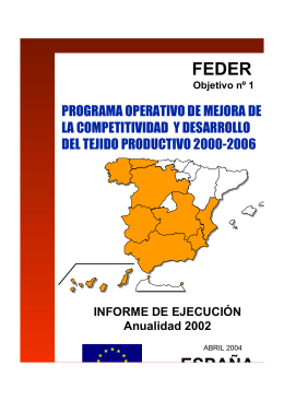 Ejercicio 2003  - Dirección General de Fondos Comunitarios