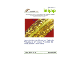 Microsoft PowerPoint - Presentación1 - Biblioteca - inifap