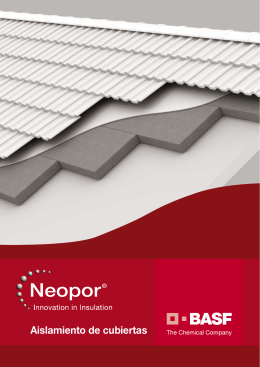 Neopor Anwendungsbroschüre: Wanddämmung