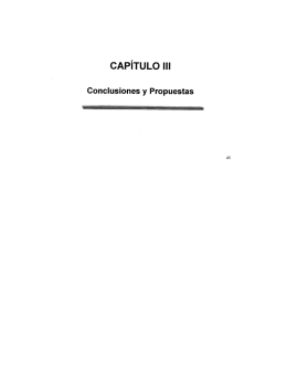 CAPÍTULO III