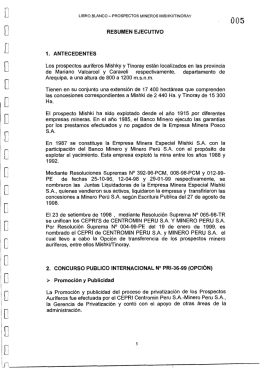 Resumen Ejecutivo Miskhy Tinoray