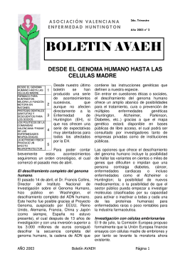 Boletín 2003_N2