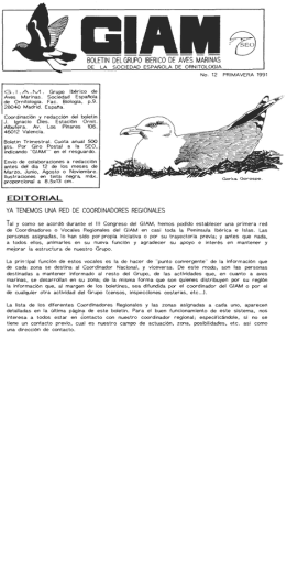 Boletín nº 12. 1991