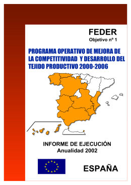 Ejercicio 2002  - Dirección General de Fondos Comunitarios