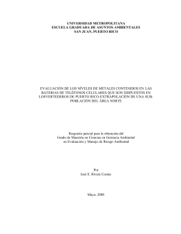 Rivera Cosme, José E. (2008).
