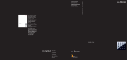 Siedle-Steel 2008/2009