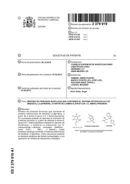 ES 2 379 919 A1