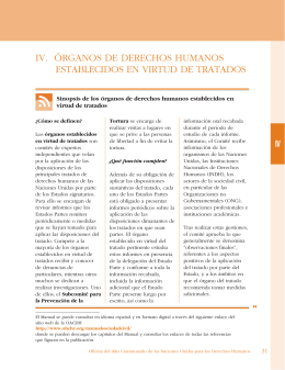iv. órganos de derechos humanos establecidos en virtud de tratados
