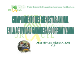 ASISTENCIA TÉCNICA 2005 CL6