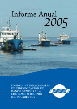 Informe Anual 2005