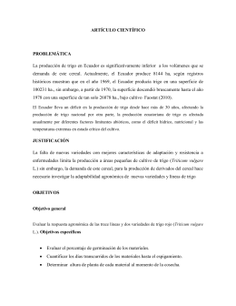 ARTÍCULO CIENTÍFICO PROBLEMÁTICA La producción de trigo en