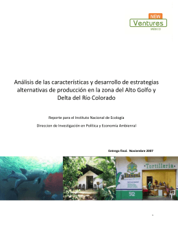 Análisis de las características y desarrollo de estrategias