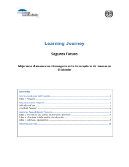 Full Learning Journey of Seguros Futuro (Spanish)