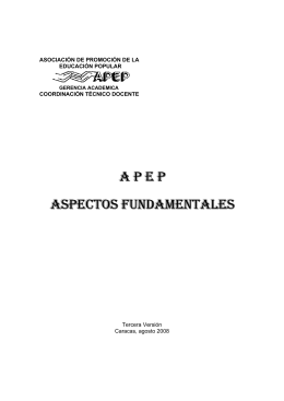 Aspectos Fundamentales de APEP 2008