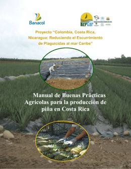 Manual de Buenas Prácticas Agrícolas para la producción de piña