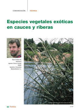 especies_vegetales_e..