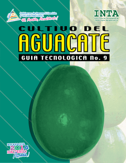 Untitled - Instituto Nicaragüense de Tecnología Agropecuaria