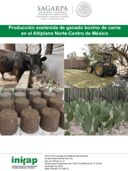 Producción sostenida de ganado bovino de carne en el Altiplano