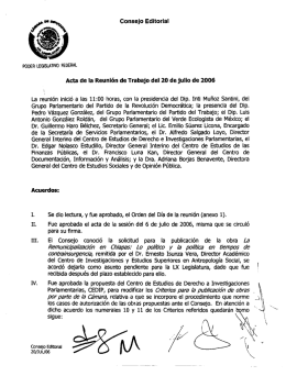 Acta de la Reuni&oacute;n de Trabajo del 20 de julio de 2006