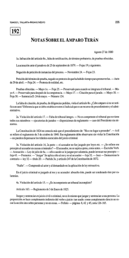 192. Notas sobre el amparo Terán