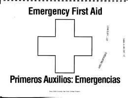 Emergency First Ai