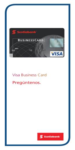 Visa Business Card