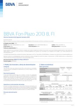 BBVA Fon-Plazo 2013 B, FI