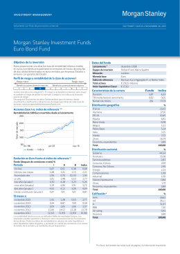 Morgan Stanley Investment Funds Euro Bond Fund