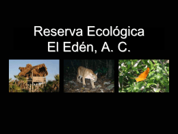 Reserva Ecológica El Edén, A. C.