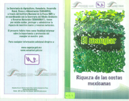 (REÏAR AMBIENTE v RECURSOS NAYURALES SE MEDIO