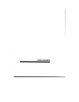 Microsoft Word - Conclusión.doc