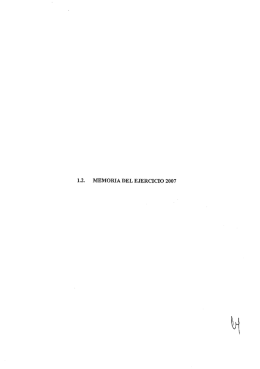1.2. MEMORIA DEL EJERCICIO 2007 - Ahorro y Titulizacion SGFT, SA