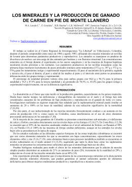 Minerales y produccion
