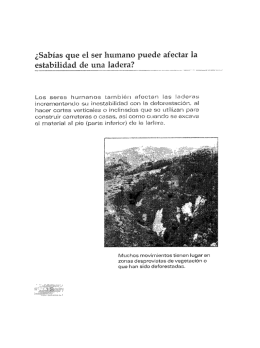 Sección D
