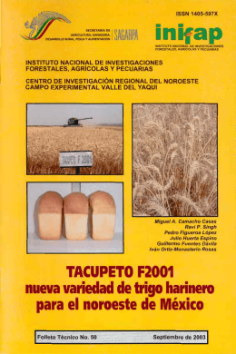 nueva variedad de trigo harinero para el noroeste