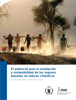 El potencial para la ampliación y sostenibilidad de los