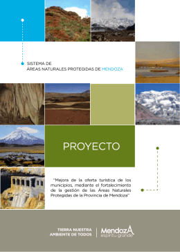 proyecto-areas