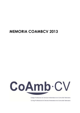 MEMORIA COAMBCV 2013