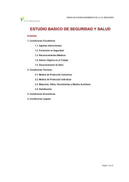 ESTUDIO BASICO DE SEGURIDAD Y SALUD