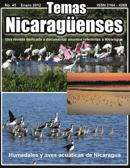 45 - Revista de Temas Nicaragüenses