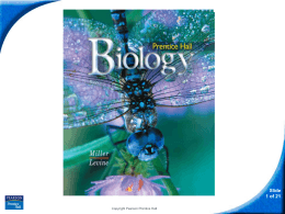 13-3 Cell Transformation