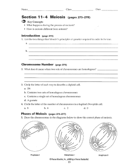 Section 11—4 Meiosis (pages 275-278)